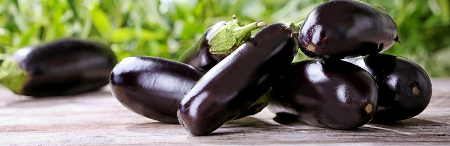 Aubergines (Solanum Melongena)