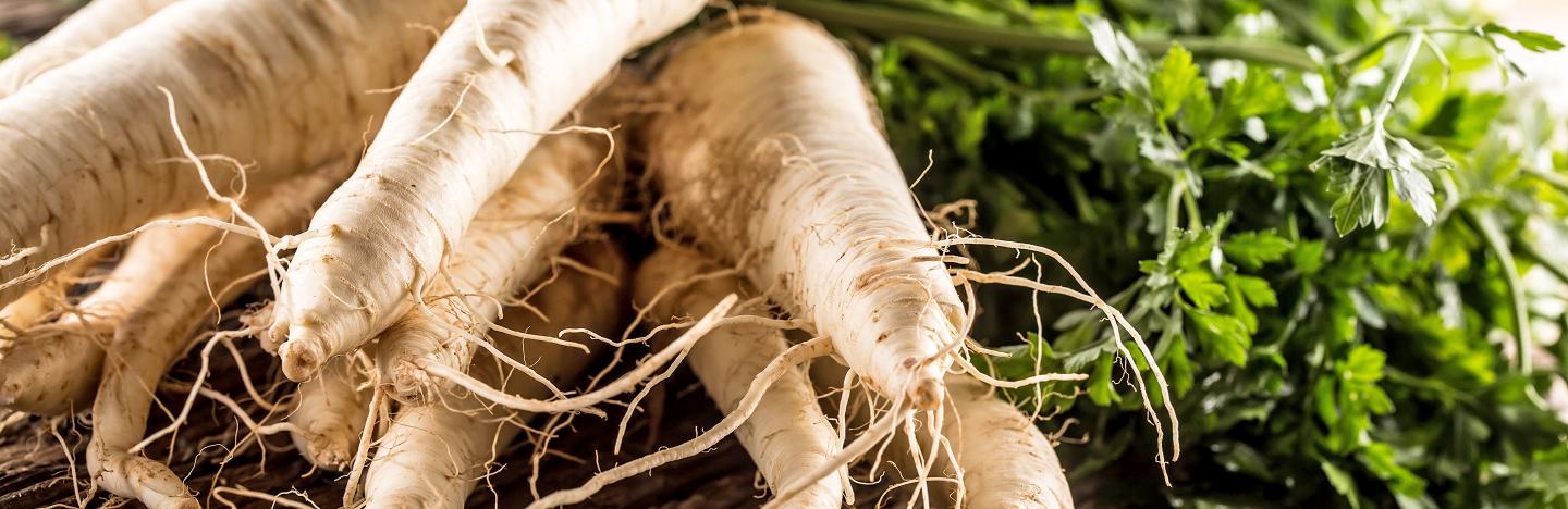 Parsnips (Pastinaca sativa)