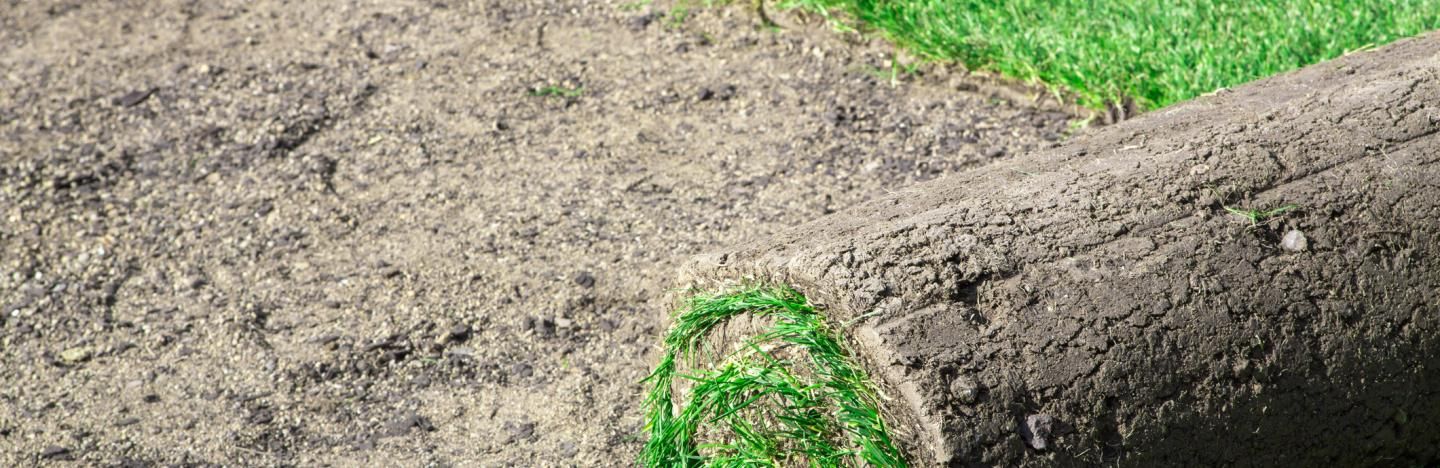 Laying a new lawn