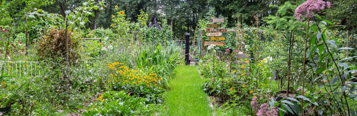 twintig servet dozijn Meer biodiversiteit voor een gezonde en natuurlijke tuin