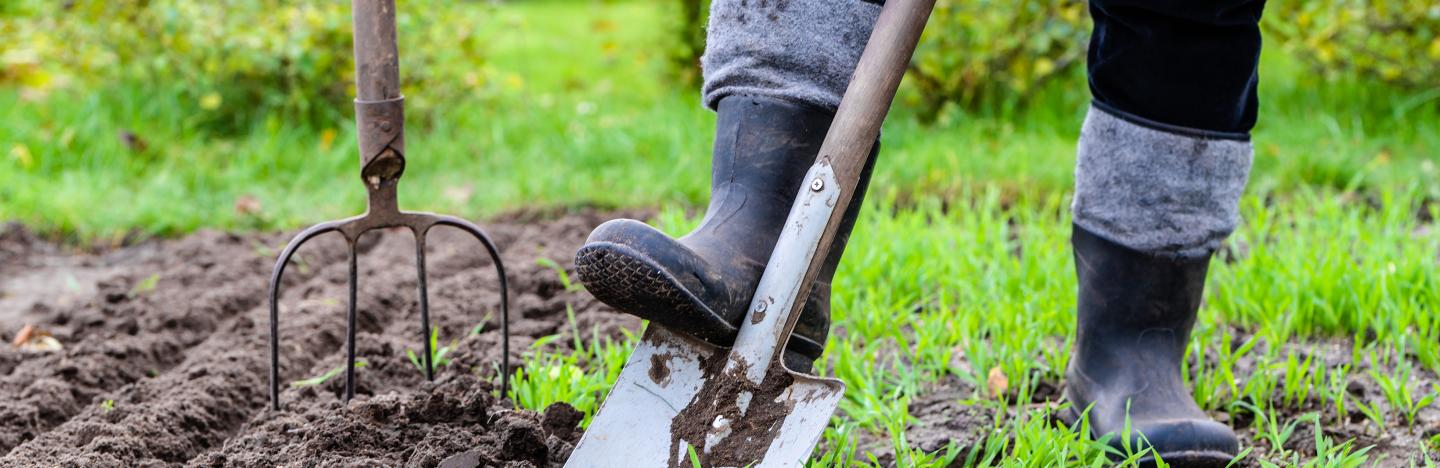 Most searched for gardening questions - Love the Garden