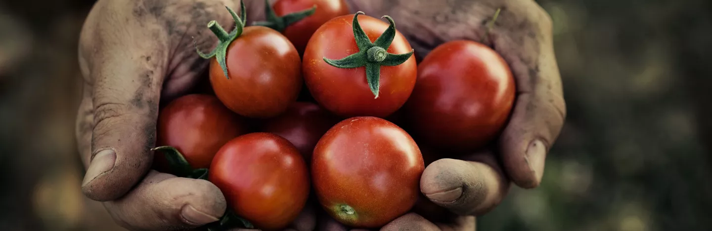 The Professional Growers' Choice