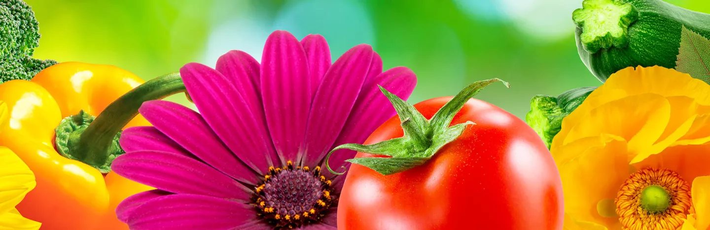 Miracle-Gro® is the world’s best selling plant food