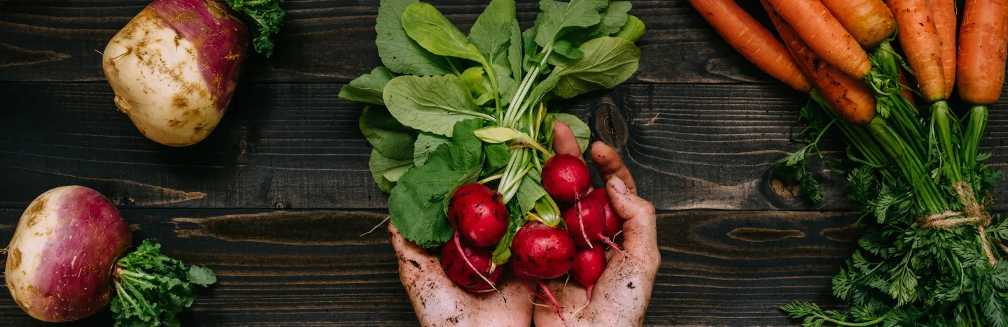 Love The Garden | Miracle Gro | Performance Organics