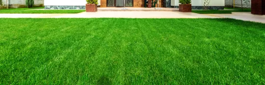 How To Dress A Lawn With Topsoil | lovethegarden