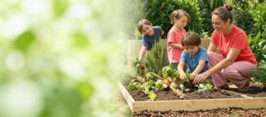 ILOVEMYGARDEN | SUBSTRAL