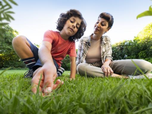 De 10€ à 1500€ : quel épandeur à gazon choisirez vous pour sublimer votre  jardin ?