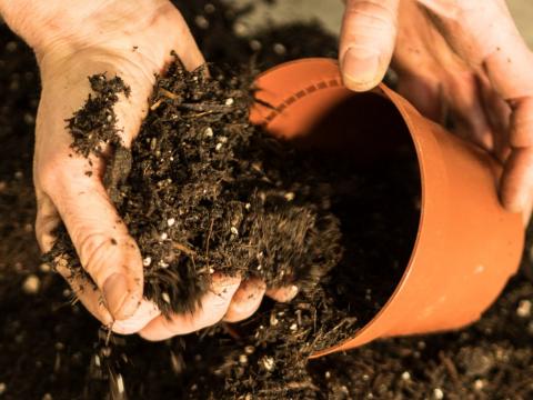 Unser Gartenkalender fr den Monat November | Liebe Deinen Garten