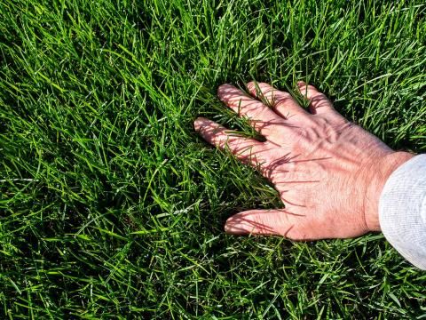 pH-Wert im Boden messen | Liebe deinen Garten AT