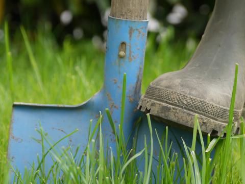 Bodenuntersuchung Liebe Deinen Garten