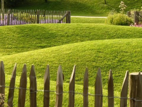 Ratgeber: Alles Wissenswerte zum Thema Eisendnger | Liebe Deinen Garten AT