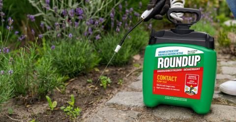 Désherbant jardin gazon Roundup prêt à l'emploi puissant herbicide