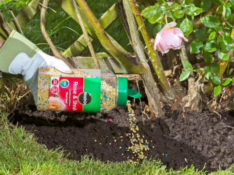 The ultimate guide to how and when to feed your plants | Love The Garden