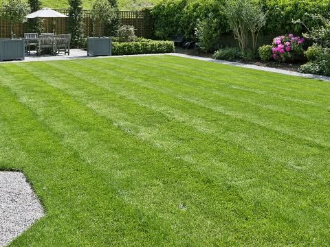 Lawn Care Services Windsor