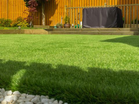 How To Build Up Lawn