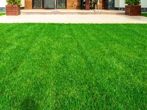 How To Dress A Lawn With Topsoil Love The Garden - Laying A Patio On Top Of Grass Seed