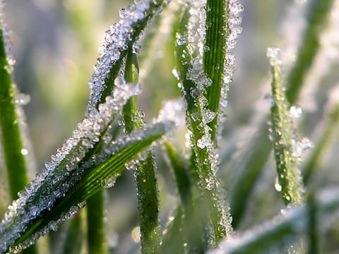 How To Prepare Your Lawn For Winter Love The Garden