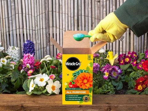 How fertilisers work and which is the best for your plants
