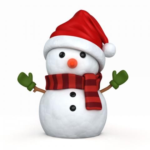 Creer Un Bonhomme De Neige La Pause Jardin Creer Un Bonhomme De Neige La Pause Jardin