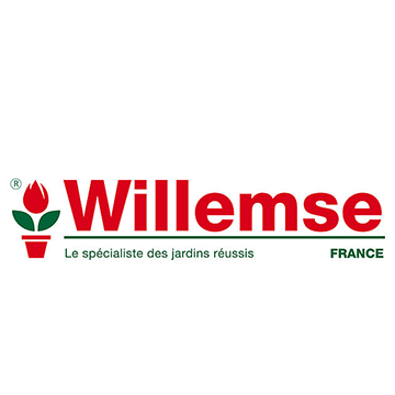 Willemse