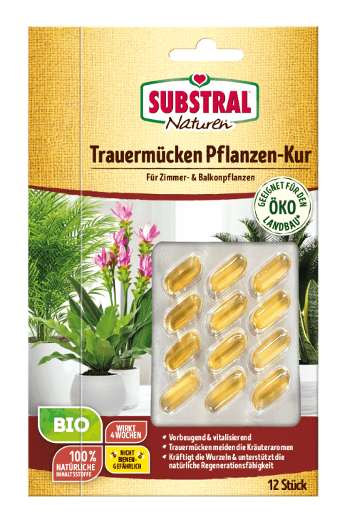 große künstliche pflanze Ficus Schirmbaum Kunstpflanze 125cm Deko pflegeleicht kaufen main image 0