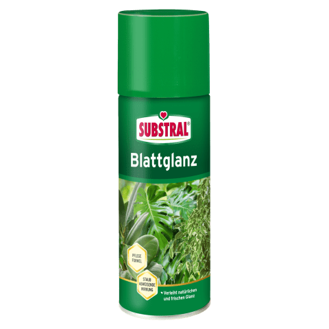 Substral Laubpflege-Spray Für Zimmerpflanzen – Bringt Blätter Zum Glänzen Und Entfernt Kalkflecken