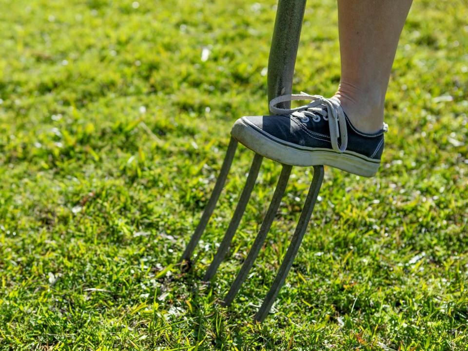 Lawn aeration how and when to aerate your lawn Love the Garden