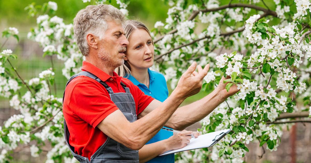 Unsere Kunden unterstützen wir jederzeit Liebe Deinen Garten DE