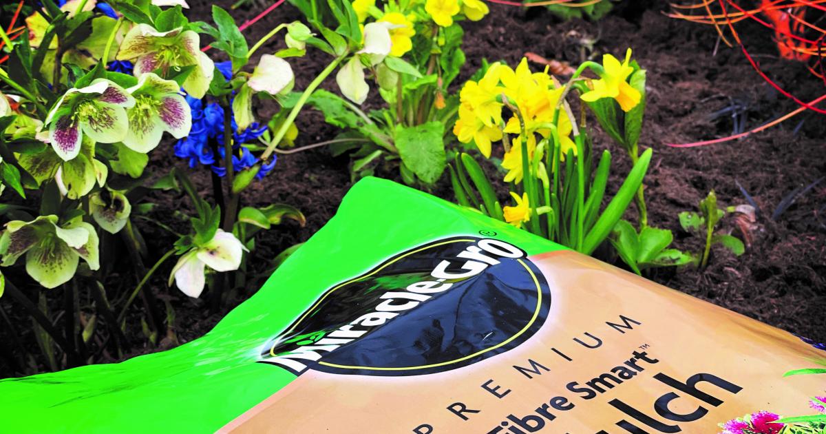 Making your own mulch in autumn Love The Garden