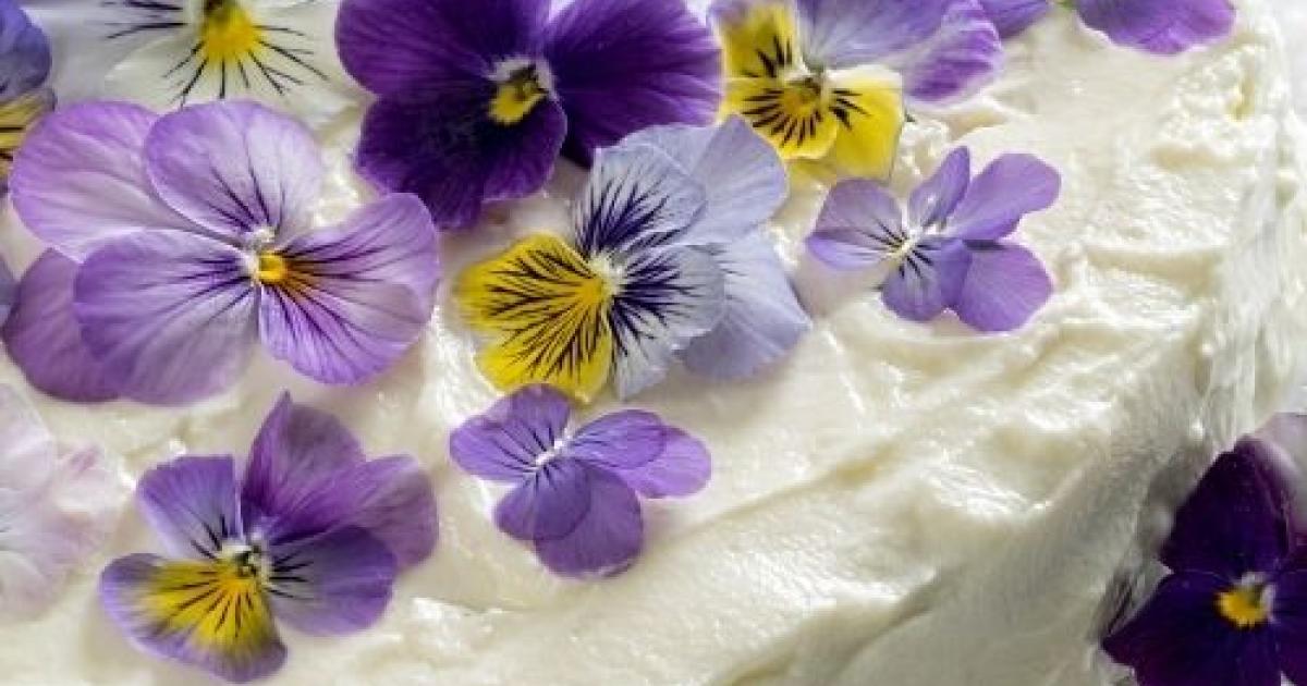 Edible Flower Vanilla Cake Recipe