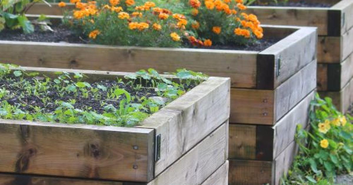 How to make a Pallet Garden in 5 simple steps | Love The Garden