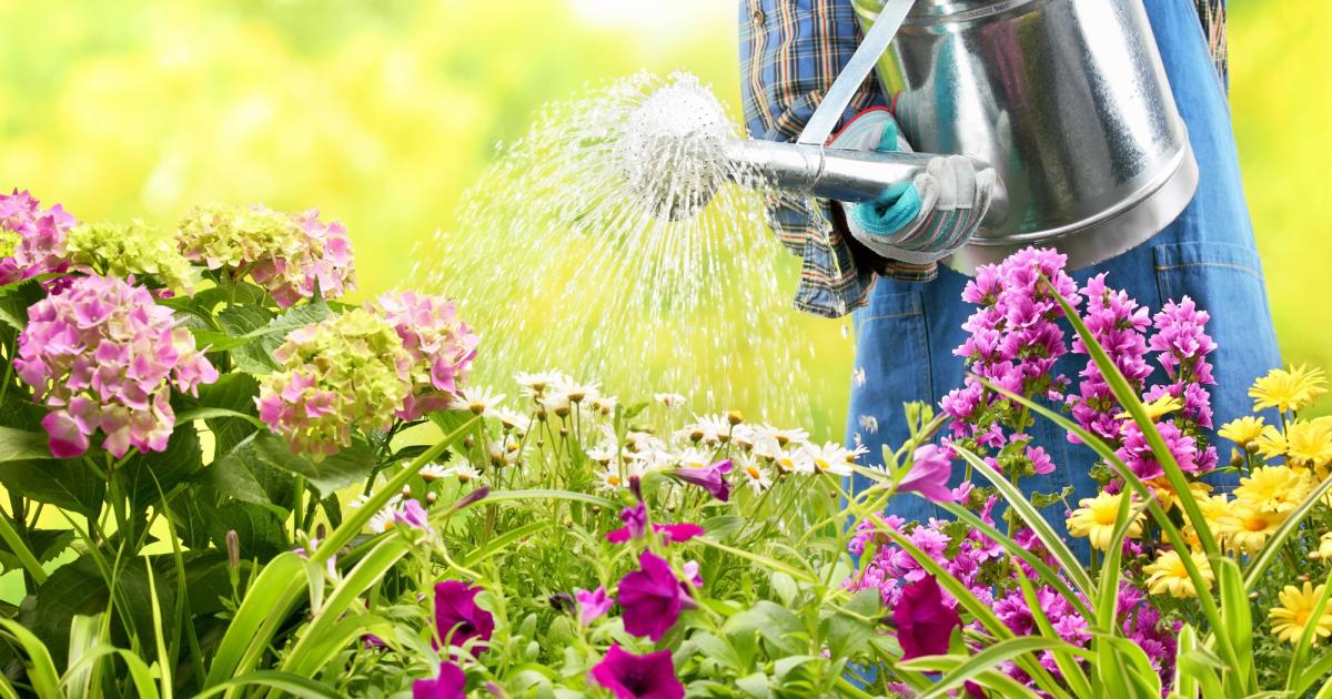 Land van staatsburgerschap schrijven bitter Tuin vakantieklaar maken: voorbereiding en verzorging