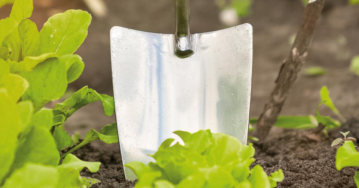 Gemusebeet Anlegen Liebe Deinen Garten