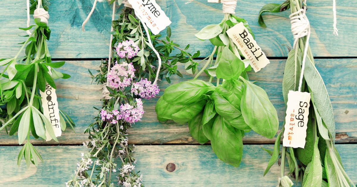 Kräuter, aromatische Vielfalt | Liebe Deinen Garten DE