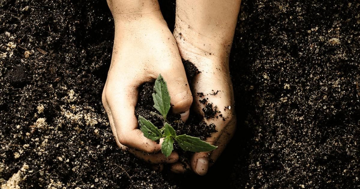 Welche Erde ist die Richtige? | Liebe Deinen Garten