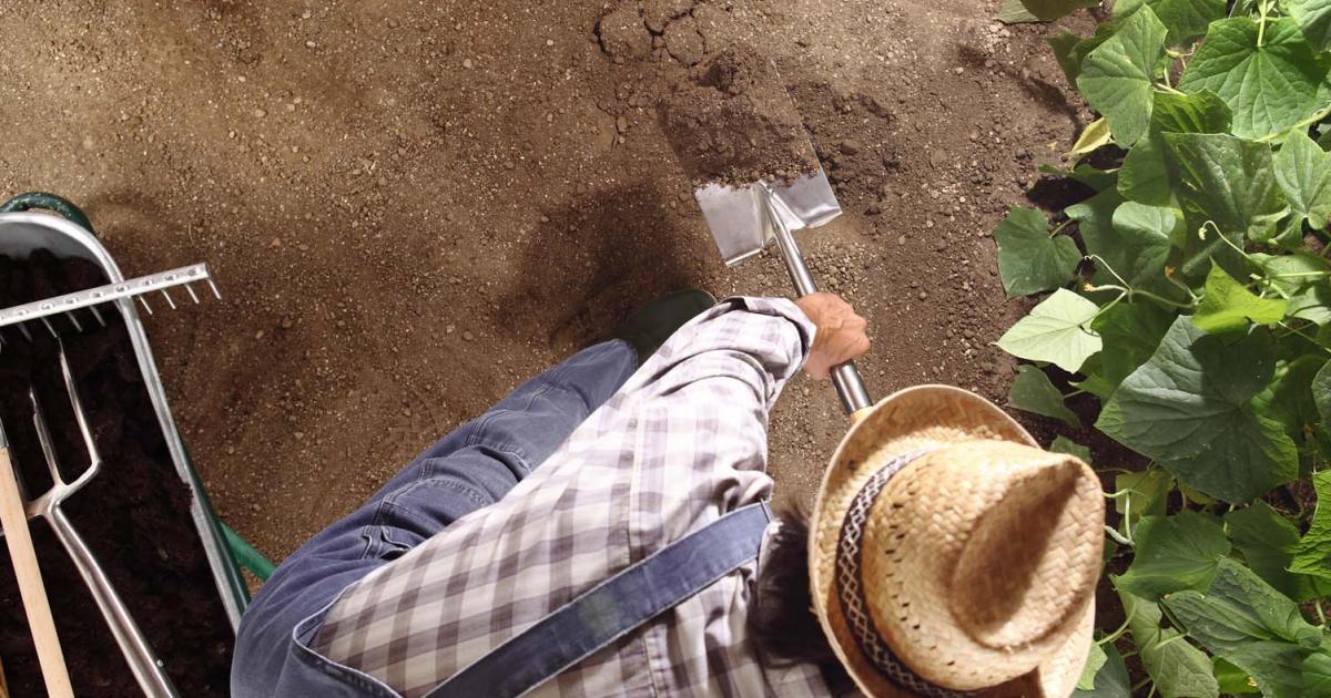 Starting patch from scratch - Scotts Australia