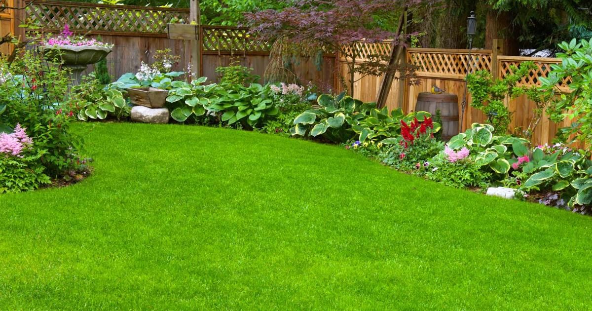 Landscape And Lawn Care