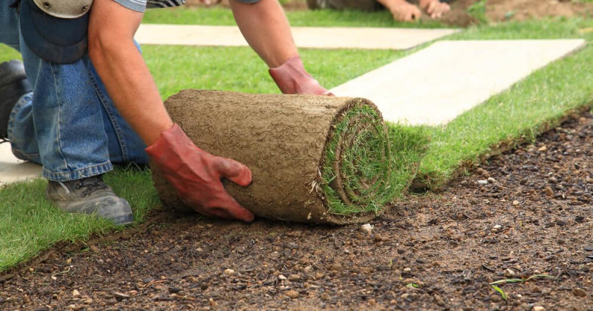 globaal brandwonden Boost Hoe moet ik grasmatten plaatsen? | Ilovemygarden