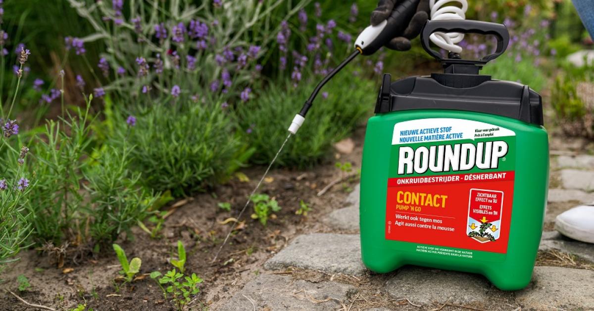Bayer overweegt faillissement Monsanto in Roundup-zaak