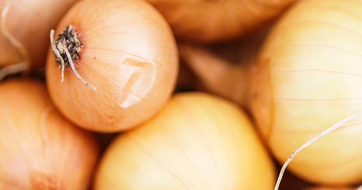 A Complete Guide To Growing Onions Love The Garden