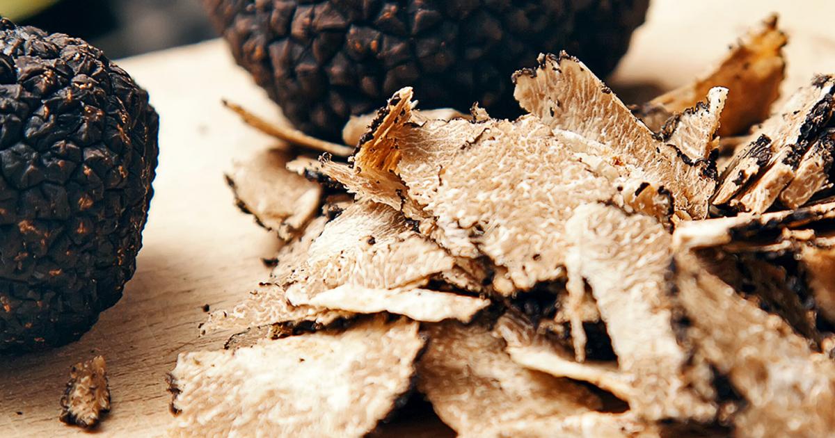 How to grow truffles lovethegarden
