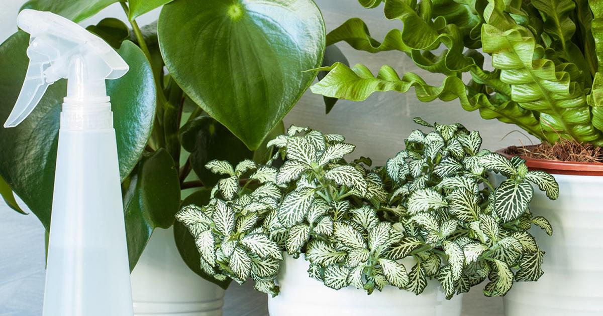 27 Easy Potted Plant Doodles To Bring New Life Your Bullet Journal 27 Easy Potted Plant Doodles To Bring