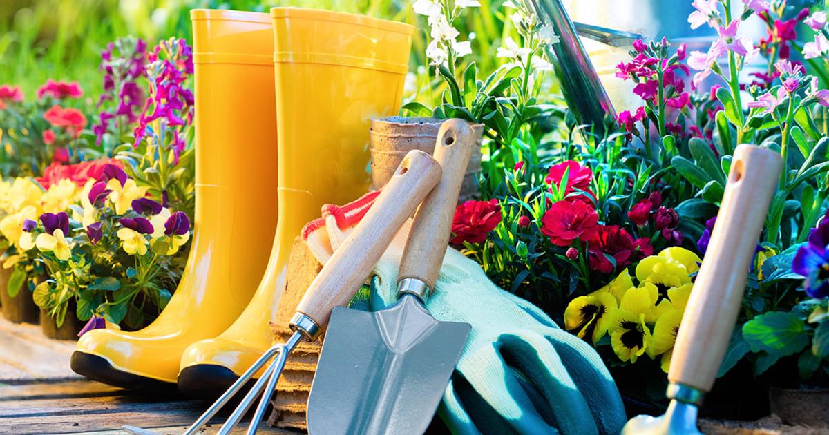 Jardinage : pots, arrosage, terreau, tondeuse et outils