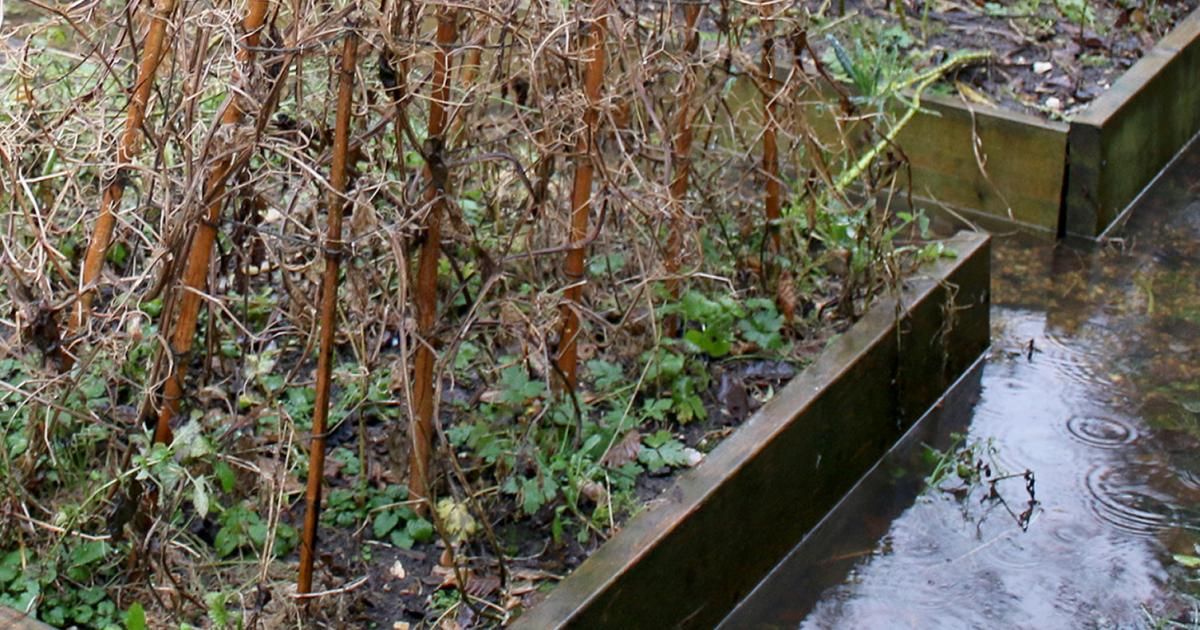 Garden flooding and waterlogging lovethegarden