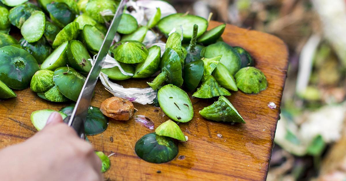 how to make organic compost love the garden