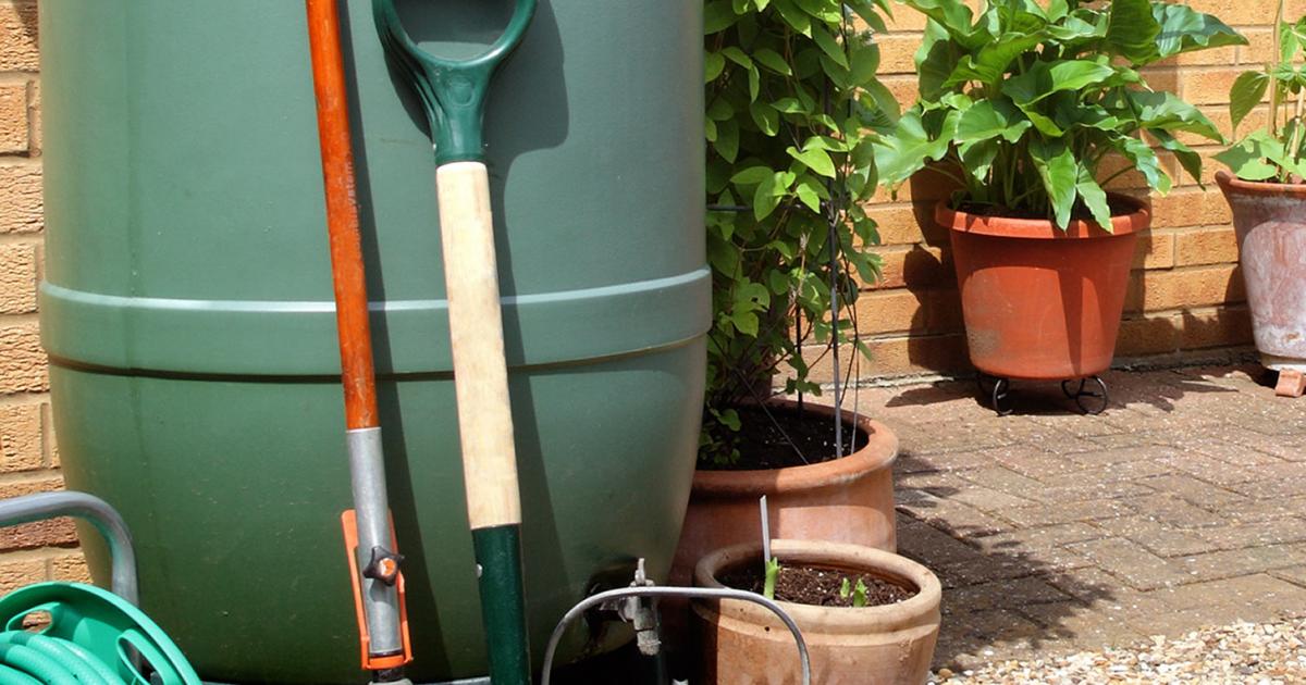 A guide to 'water smart' gardening Love The Garden