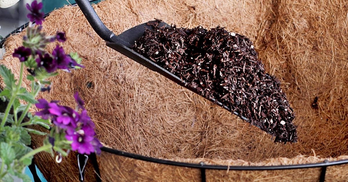 A beginners guide to hanging baskets | lovethegarden