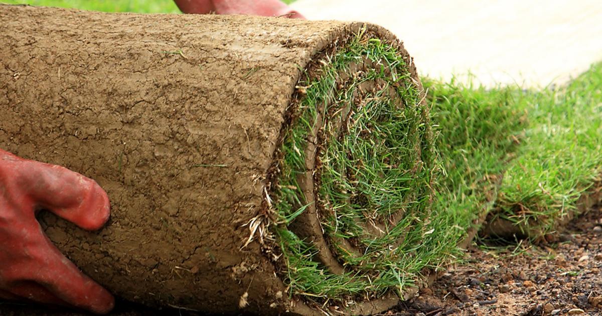 Rollrasen Wie verlegt man Rollrasen Liebe Deinen Garten