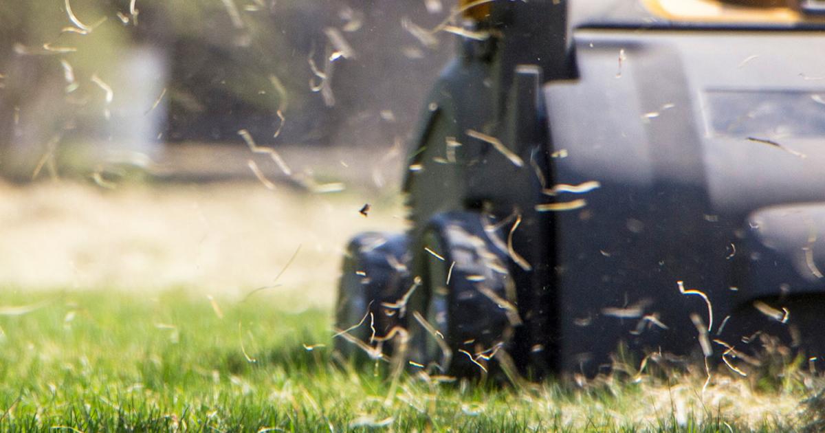 What A Lawn Scarifier Is And How To Use It Lovethegarden