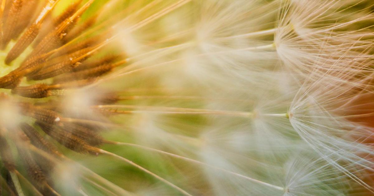 How Do Weedkillers Work Lovethegarden